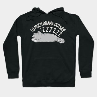 Lazy Sleeping Cat Hoodie